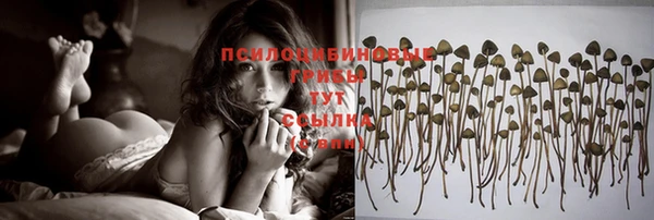 тгк Белокуриха