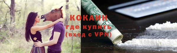 тгк Белокуриха