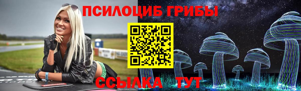 Галлюциногенные грибы мицелий Воскресенск